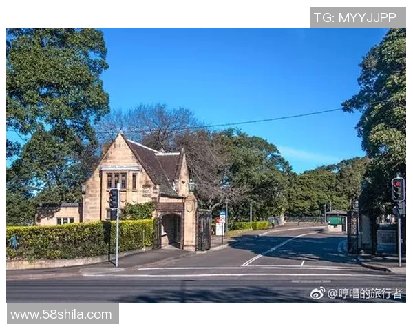 上海与悉尼的文化碰撞与城市魅力的深度对比分析